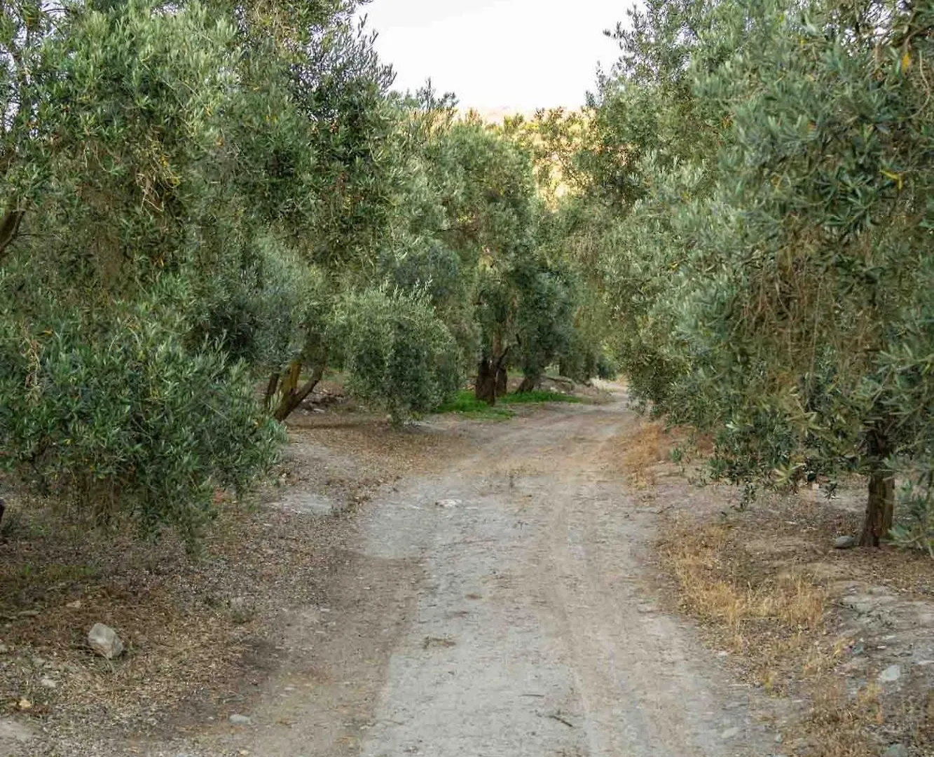 Villa Natura Un Paraiso En La Alpujarra Almeriense Alcolea
